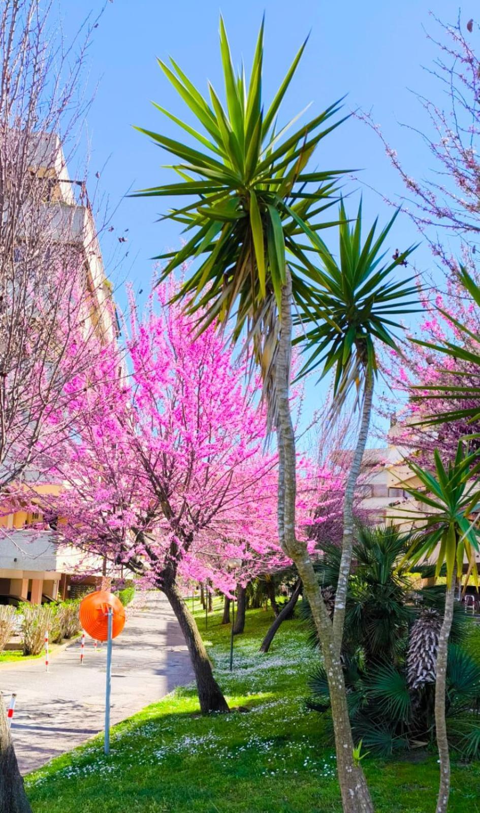 Rome Sweet Home Vitinia Extérieur photo